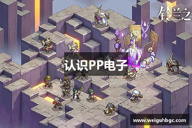 认识PP电子